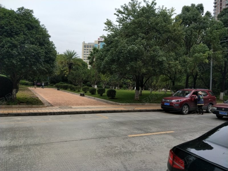 麒麟嘉城,子午路,近金宝路-曲靖麒麟嘉城二手房,租房,房价-曲靖安居客