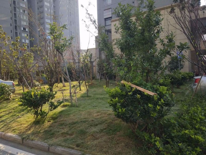 利民佳苑(北区),朝阳洲北路449号-南昌利民佳苑(北区)二手房,租房