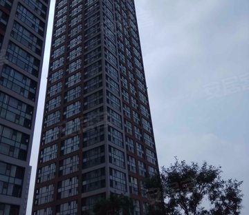 万科金奥国际