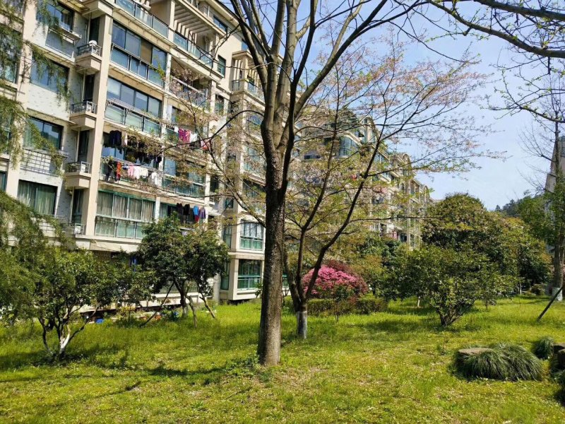 绿野春天家园(公寓住宅),里东路,近闲富公路-杭州绿野春天家园(公寓