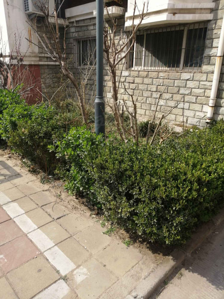 凤凰苑小区(南区),北关街21号-聊城凤凰苑小区(南区)二手房,租房,房价