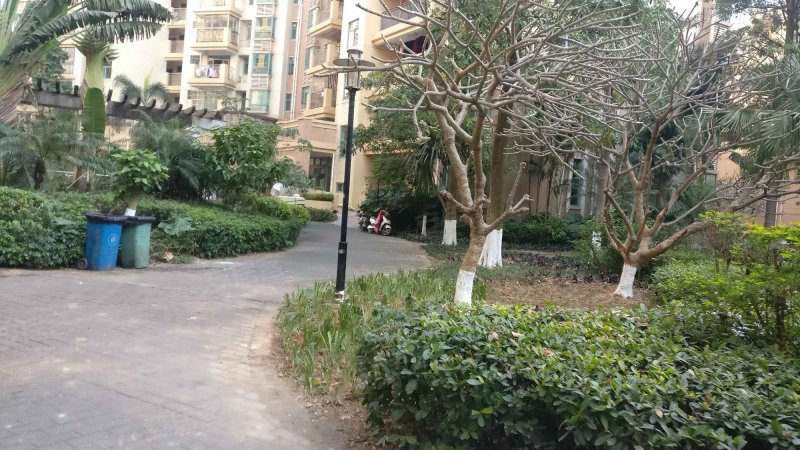 美丽花园,坦神北路117号-中山美丽花园二手房,租房,房价-中山安居客