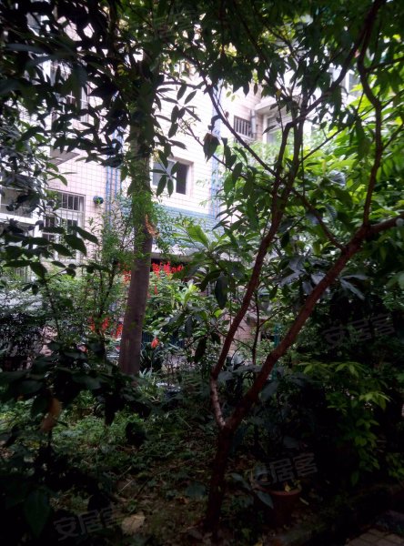 西华苑(青羊),清邻街4号-成都西华苑(青羊)二手房,租房,房价-成都安居