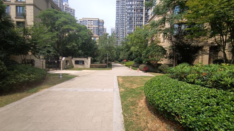 东湖春树里,徐东大街50号-武汉东湖春树里二手房,租房,房价-武汉安居