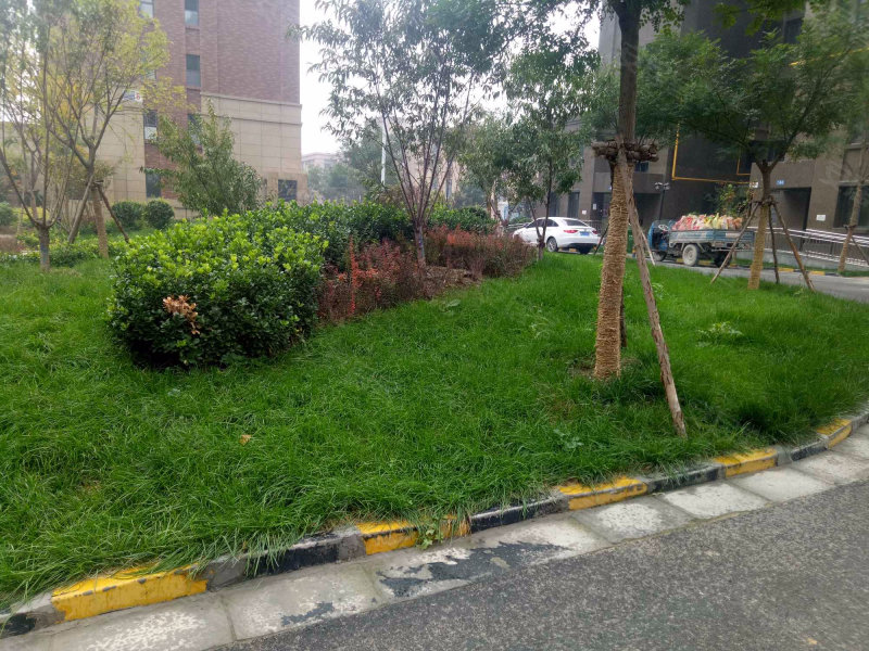 未来城(d区),七一东路-保定未来城(d区)二手房,租房,房价-保定安居客