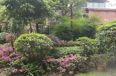 经典华悦府,东山路 - 宜宾经典华悦府二手房,租房,房价-宜宾安居客