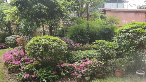 经典华悦府,东山路 - 宜宾经典华悦府二手房,租房,房价-宜宾安居客