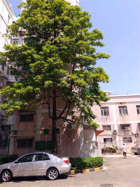 新城花园(香洲),人民西路128号-珠海新城花园(香洲)二手房,租房,房价