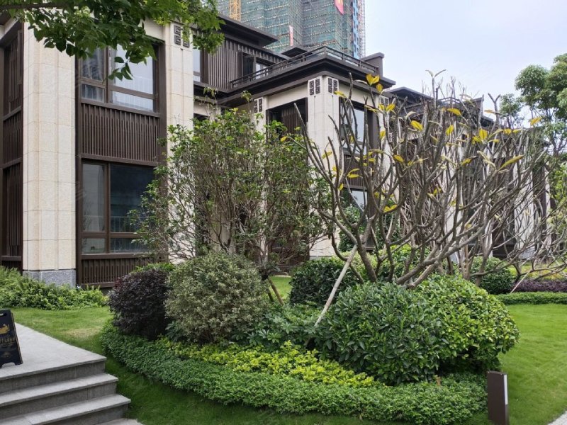 金科集美山水(别墅),芦苞大道-佛山金科集美山水(别墅)二手房,租房