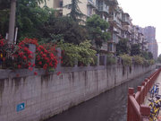二仙桥小区图片