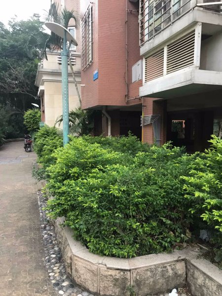 金帝花园,泉秀街87号-泉州金帝花园二手房,租房,房价-泉州安居客