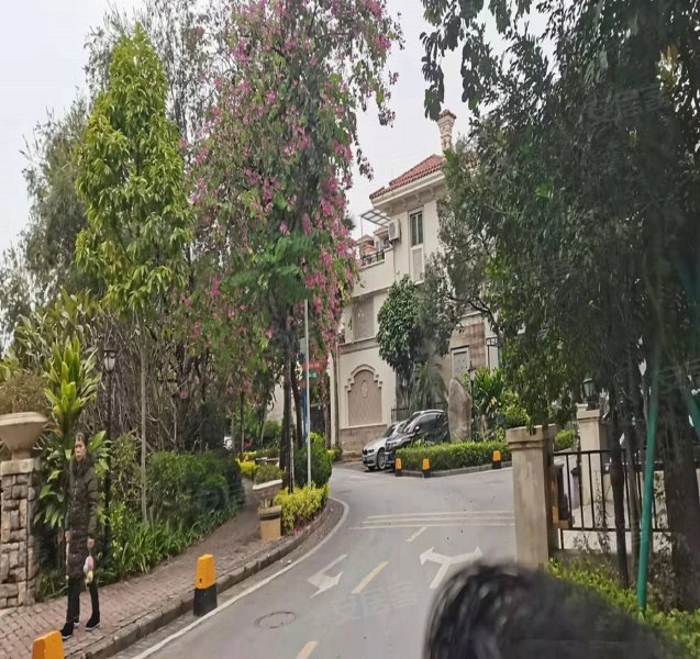 四会锦绣棕榈园