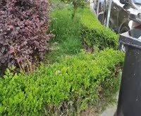 沂南路54弄小区