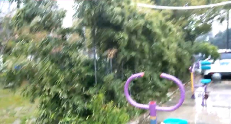 博一小区(1支弄) 