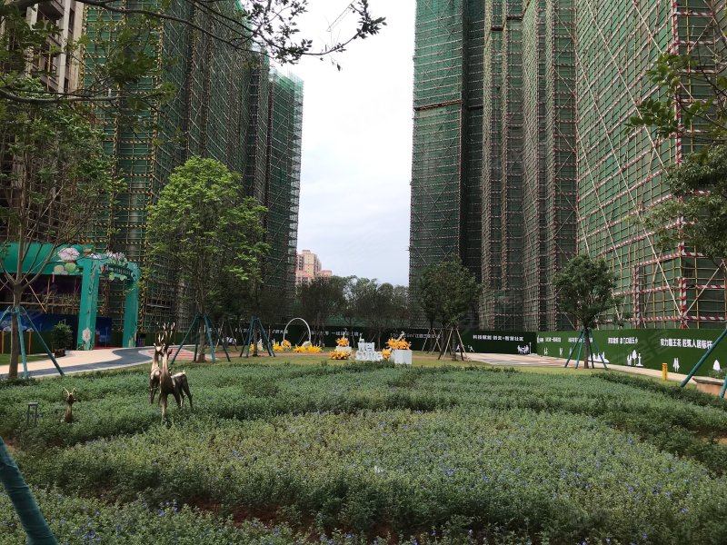 霸王花东城国际