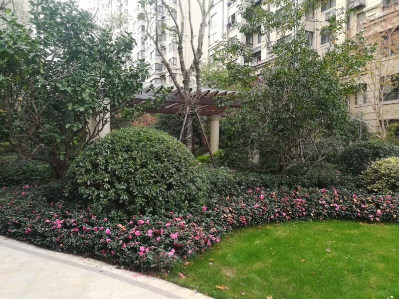 中梁香缇华府(龙湾)