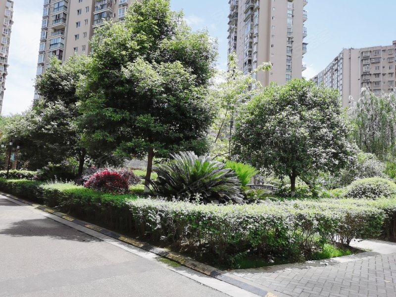 海润滨江,滨江中路一段-南充海润滨江二手房,租房,房价-南充安居客