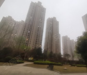 复地七期南北通透四房,采光视野好,业主诚心出售