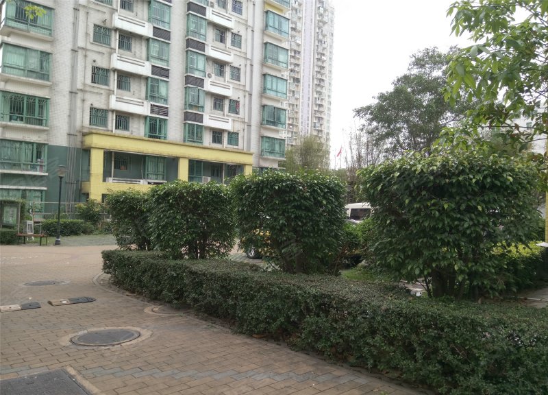 金海花园(福田)