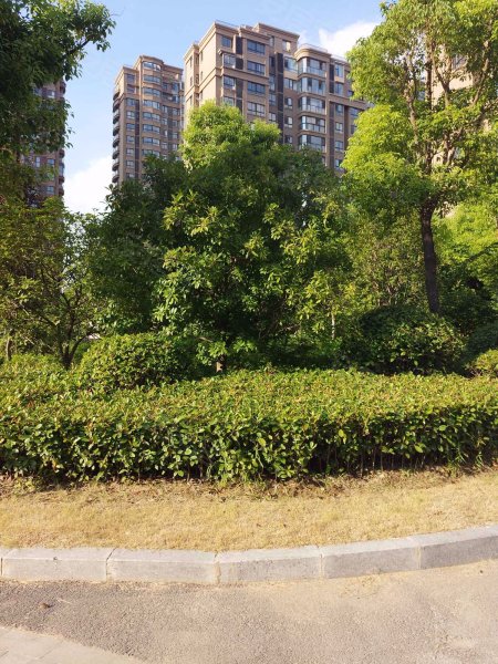 云龙华府(南区)