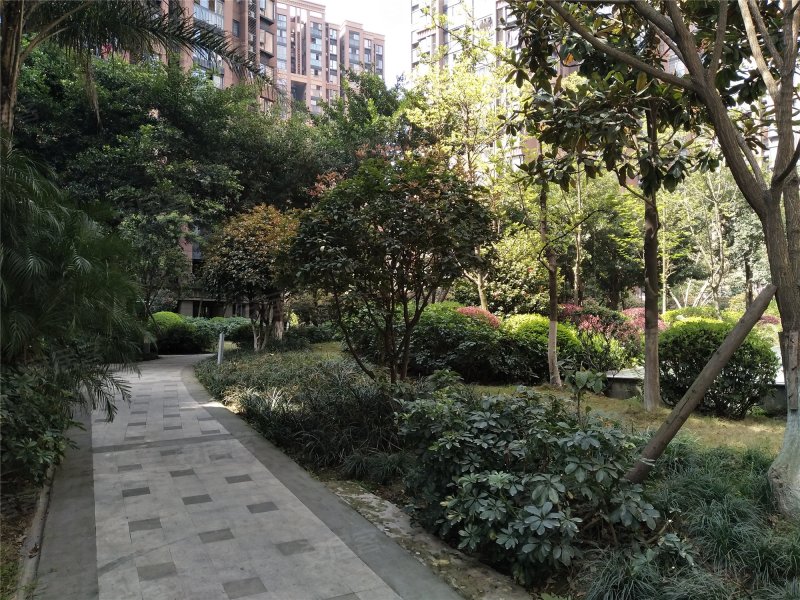 蓝光花满庭一期