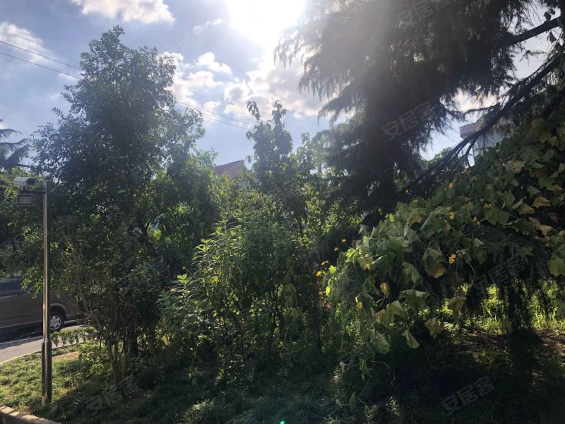 金鑫花园(公寓住宅) 