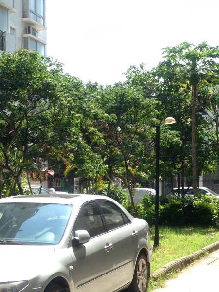 丽江花园,五一中路26号-南宁丽江花园二手房,租房,房价-南宁安居客