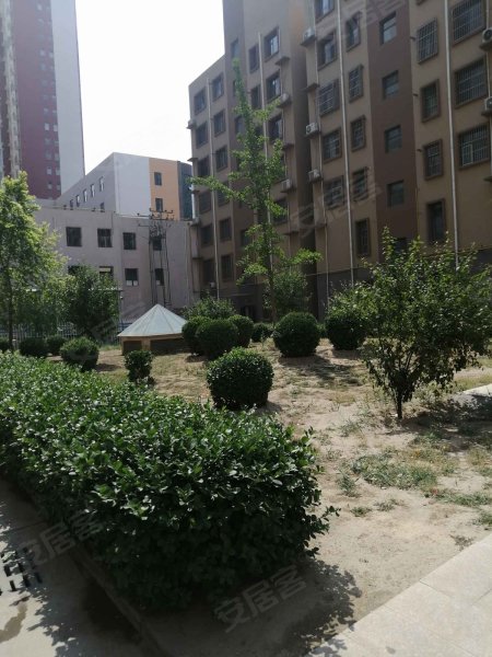 金色阳光,红旗大街-衡水金色阳光二手房,租房,房价-衡水安居客