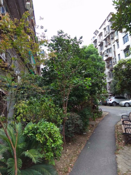 金桥花园,卓刀泉北路38号-武汉金桥花园二手房,租房,房价-武汉安居客