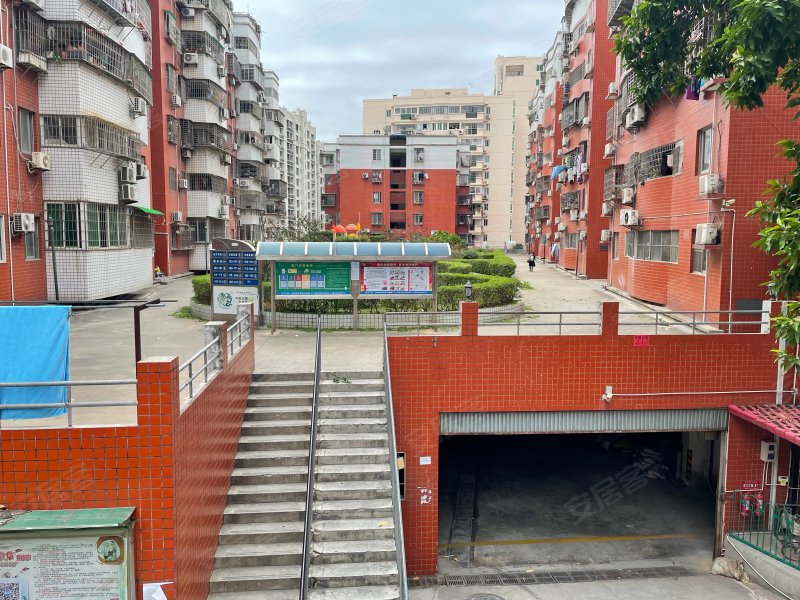 芙蓉苑,嘉园路41,207-273,277-317号-厦门芙蓉苑二手房,租房,房价