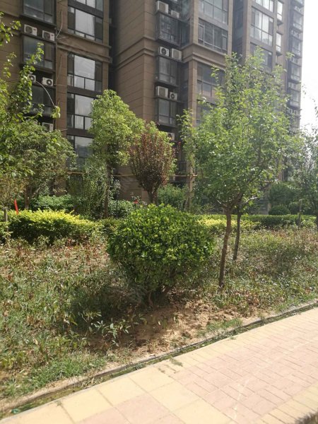 聂庄(b区),纬二路-郑州聂庄(b区)二手房,租房,房价-郑州安居客