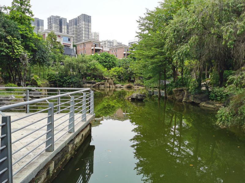 八桂绿城苏堤春晓,壮锦大道31号-南宁八桂绿城苏堤春晓二手房,租房