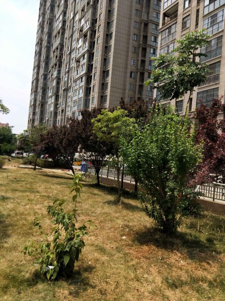 洸河新苑,长虹路-秦皇岛洸河新苑二手房,租房,房价-秦皇岛安居客