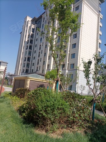 梧桐印象(二期),广颖路,近顺安路 - 广饶梧桐印象(二期)二手房,租房