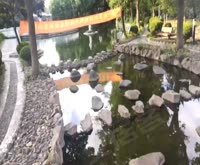 云间绿大地(公寓住宅) 