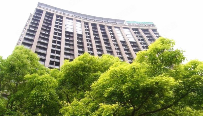 银亿公园壹号,花木路826弄-上海银亿公园壹号二手房,租房,房价-上海