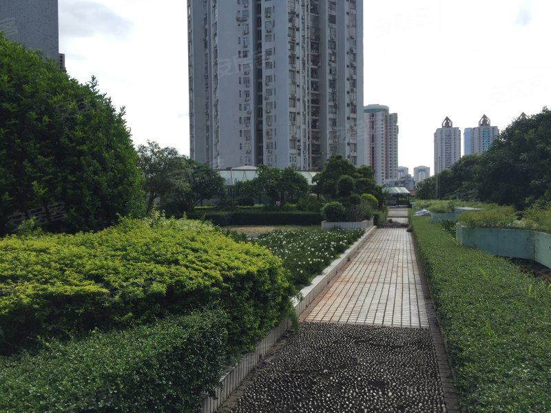 台湾花园(福田),东园路30号-深圳台湾花园(福田)二手房,租房,房价