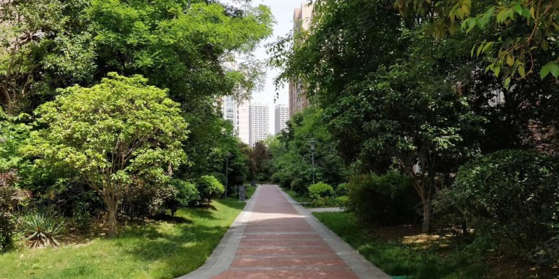 天地源枫林意树