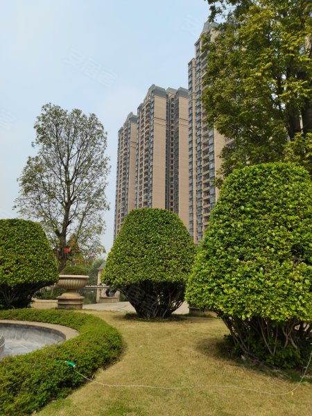 龙光水悦龙湾,南庄大道中98号-佛山龙光水悦龙湾二手房,租房,房价