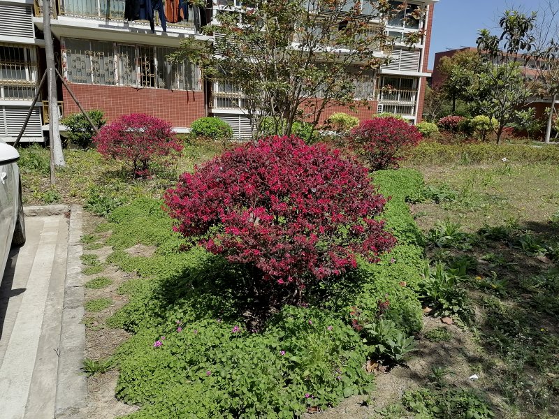 胡庄佳苑,共富路569弄-上海胡庄佳苑二手房,租房,房价-上海安居客