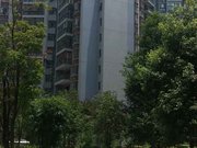 金阳客车站小区图片