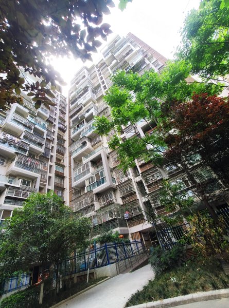 东方华尔街,长虹大道中段33号-绵阳东方华尔街二手房,租房,房价-绵阳