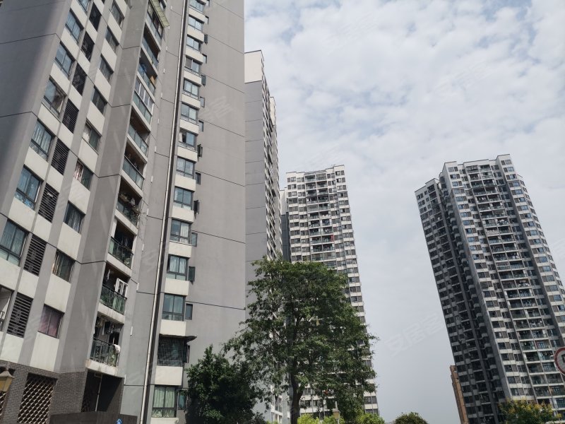 帝豪南城国际,箭河路2号-达州帝豪南城国际二手房,租房,房价-达州安居