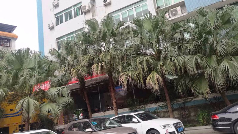 鹅城国际,鹅岭南路31号-沈阳鹅城国际二手房,租房,房价-沈阳安居客