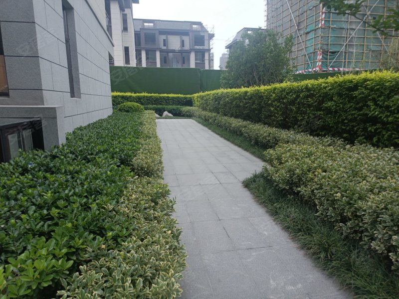 凯迪融创玉兰公馆,凤阳北路435号-滁州凯迪融创玉兰公馆二手房,租房