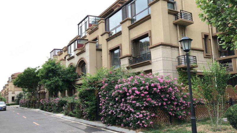 世茂萨拉曼卡(别墅)