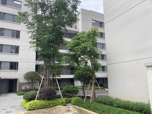 阳光五一花园a区,龙庭路 - 福州阳光五一花园a区二手房,租房,房价