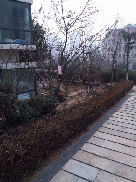 御景峰,香港东路85-2号-青岛御景峰二手房,租房,房价-青岛安居客