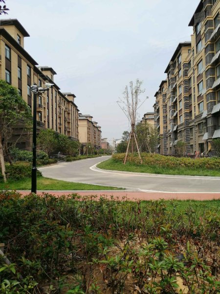 鸿鑫俊景,太行山路,近金沙江路-枣庄鸿鑫俊景二手房,租房,房价-枣庄