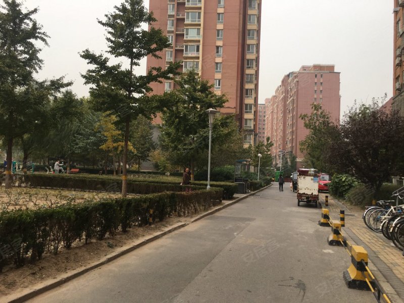 万年花城玫瑰碗(万年花城三期)